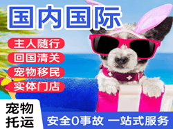 威海航空运输国际宠物托运 【国